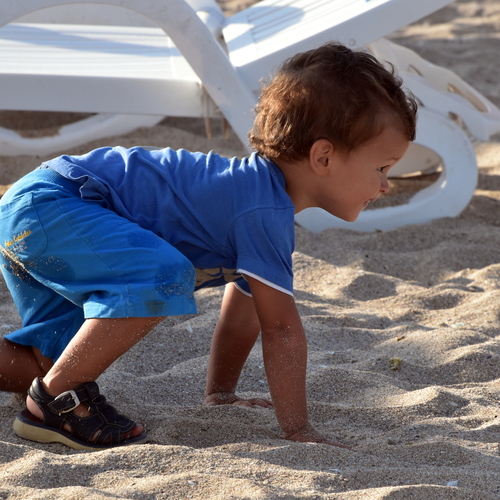 Photo #13767959
