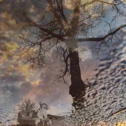 Photo #13767978