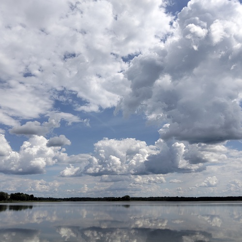 Photo #13768127