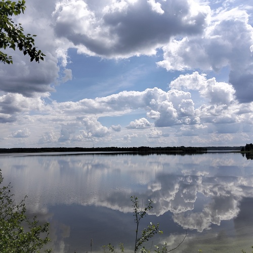 Photo #13768128