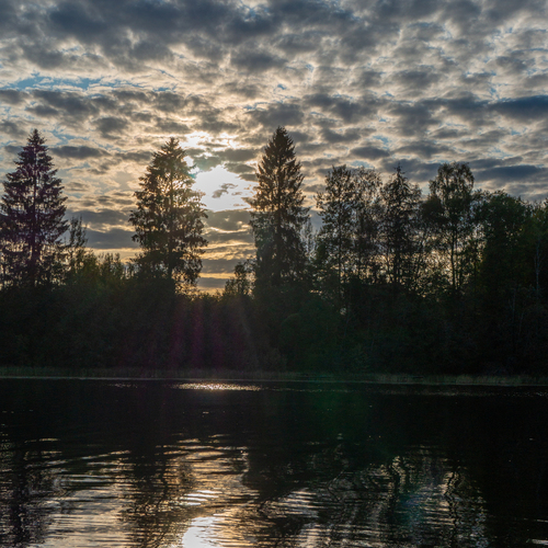 Photo #13768147