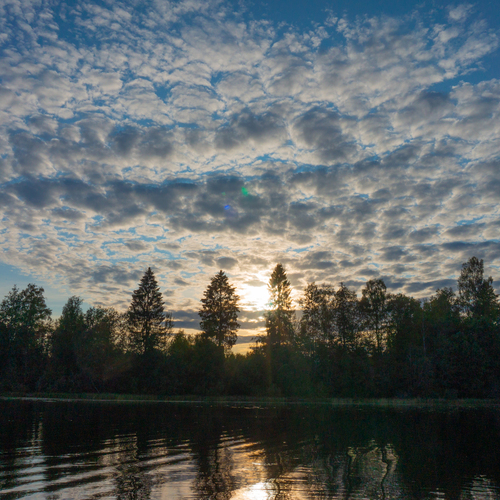 Photo #13768148