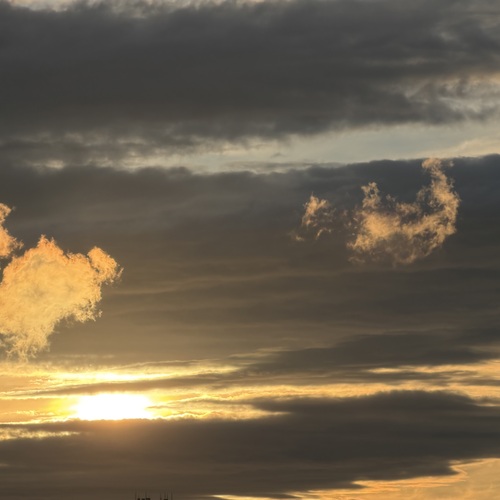 Photo #13768182