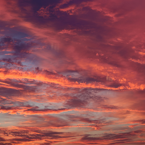 Photo #13768192