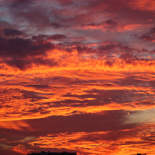 Photo #13768193
