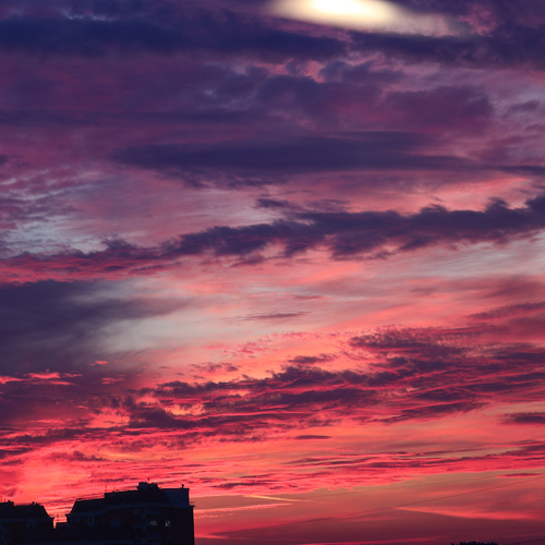 Photo #13768195