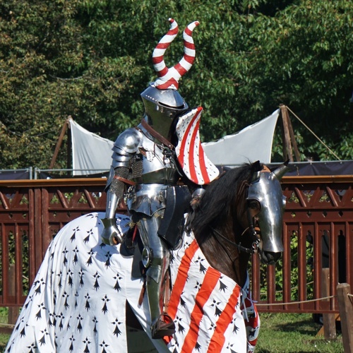 Photo #13768245