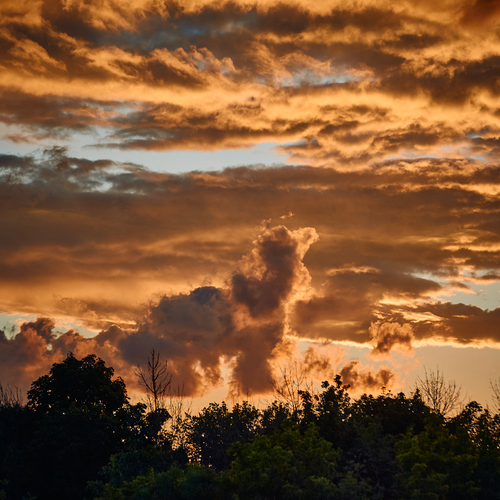 Photo #13768251