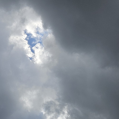 Photo #13768264
