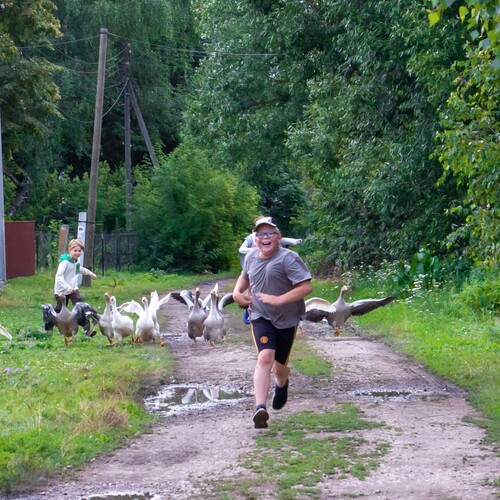 Photo #13768267