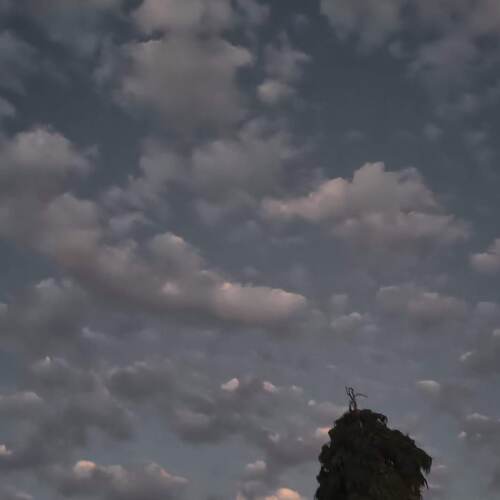 Photo #13768319