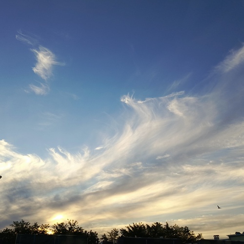Photo #13768330
