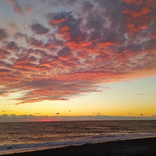 Photo #13768332