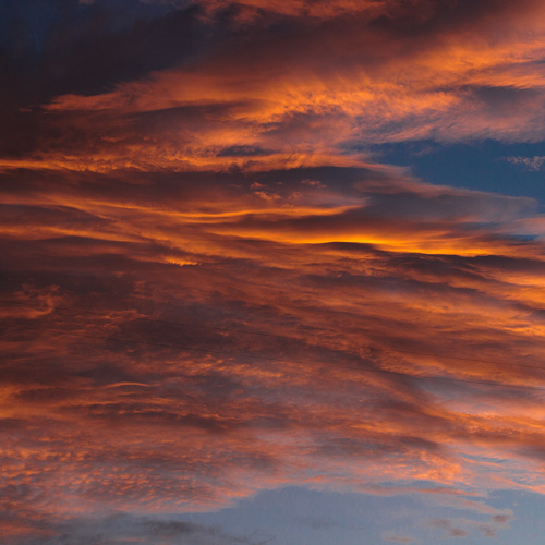 Photo #13768355
