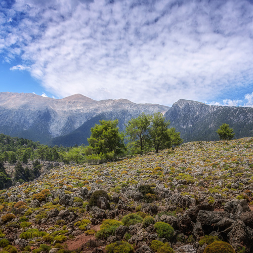 Photo #13768362