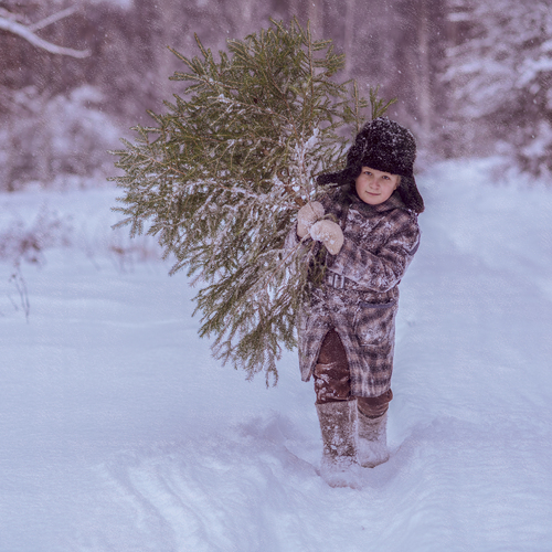Photo #13768382
