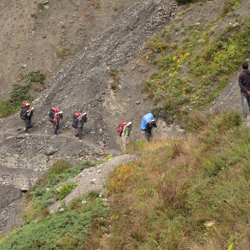 Photo #13768404