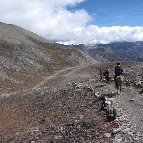 Photo #13768416