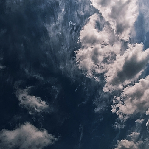 Photo #13768421