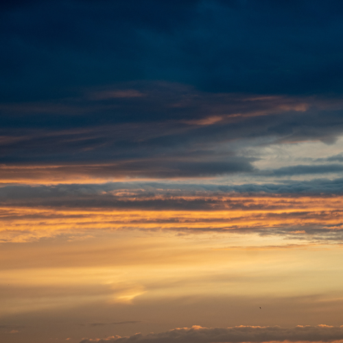Photo #13768424