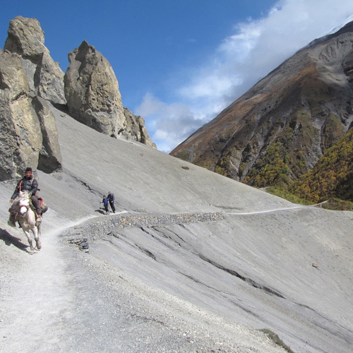 Photo #13768427