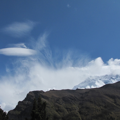 Photo #13768452