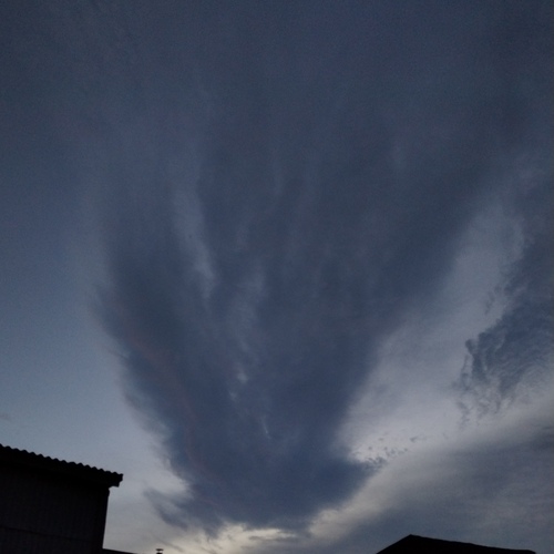 Photo #13768466