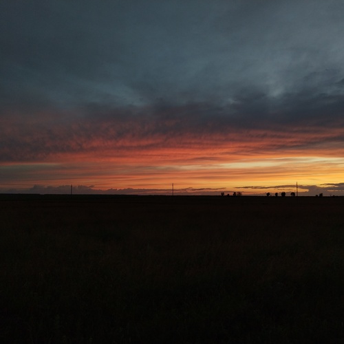 Photo #13768468