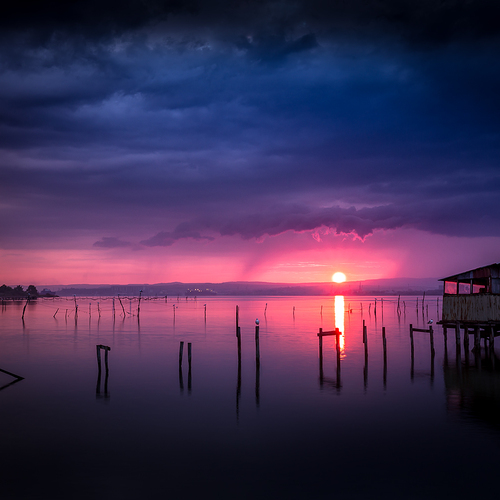 Photo #13768529