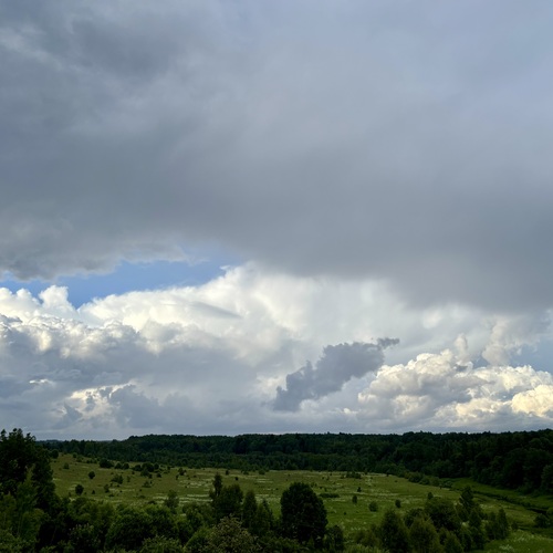 Photo #13768565