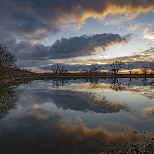 Photo #13768593