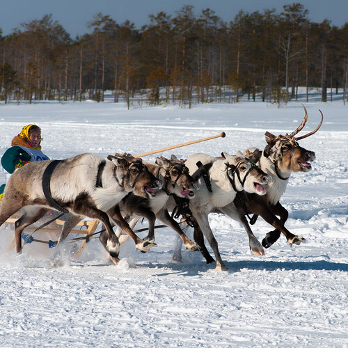 Photo #13768635