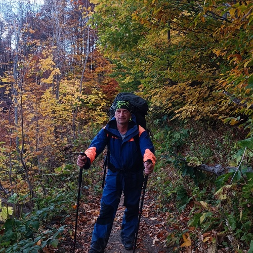 Photo #13768652