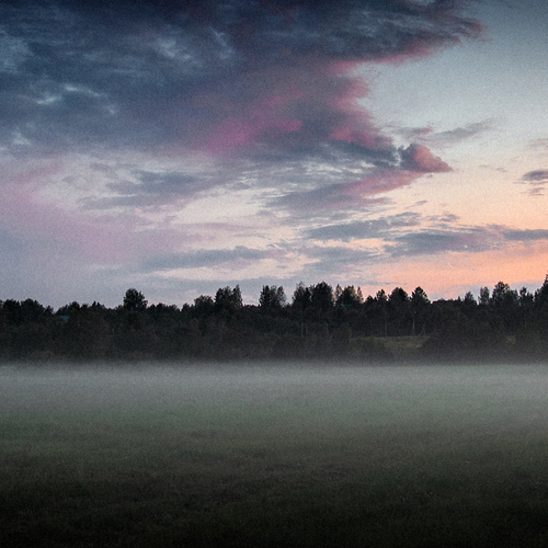 Photo #13768698