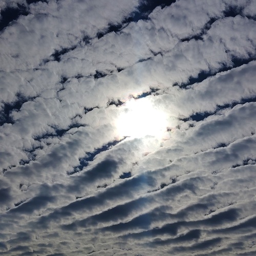 Photo #13768720