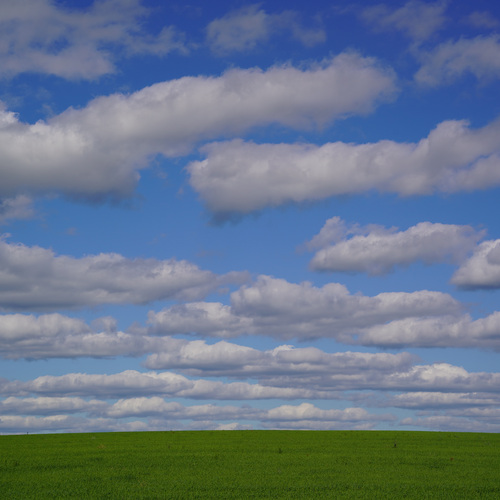 Photo #13768728