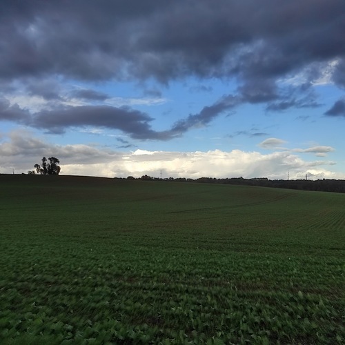 Photo #13768729