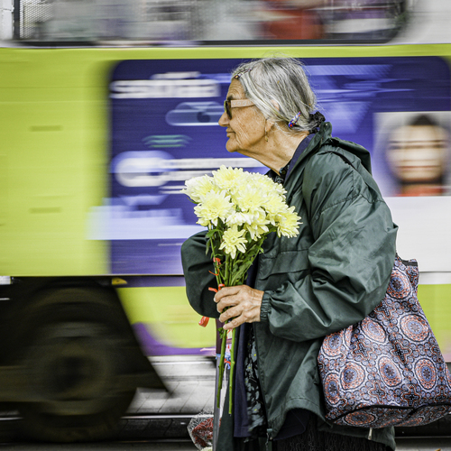 Photo #13768742