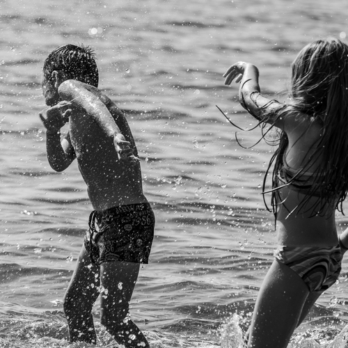 Photo #13768833