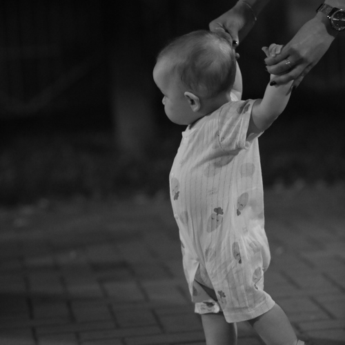 Photo #13768881