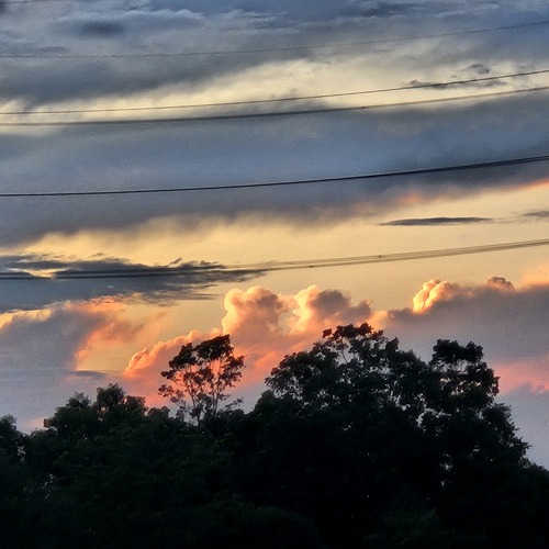 Photo #13768900
