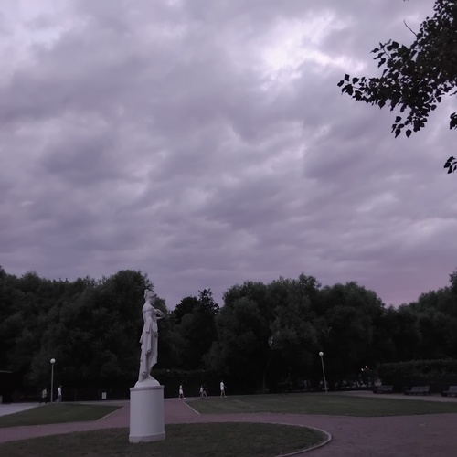 Photo #13768915