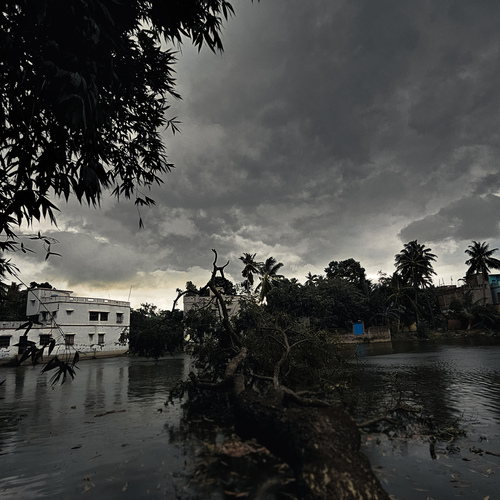 Photo #13768925
