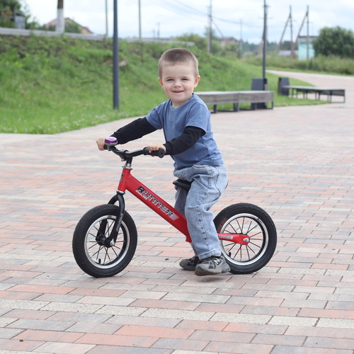 Photo #13768938