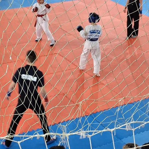 Photo #13768988
