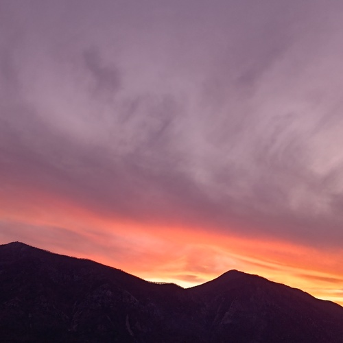 Photo #13769000