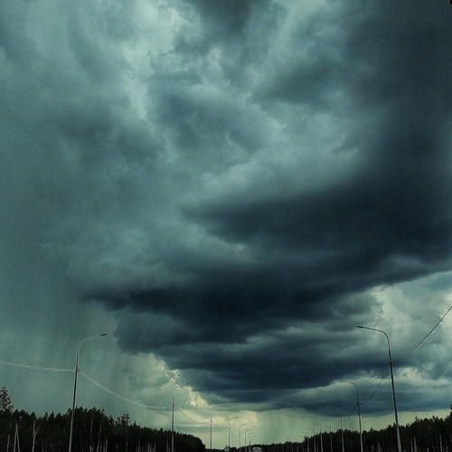 Photo #13769010