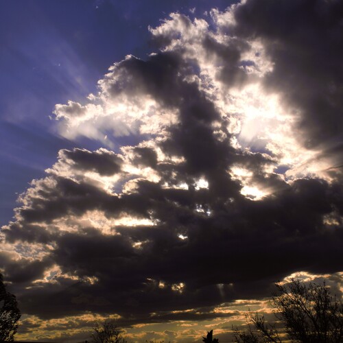 Photo #13769076
