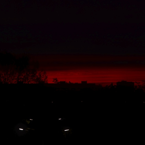 Photo #13769141