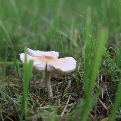 Photo #13769143